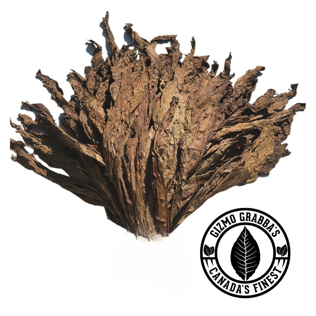 Premium Grabba Leaf