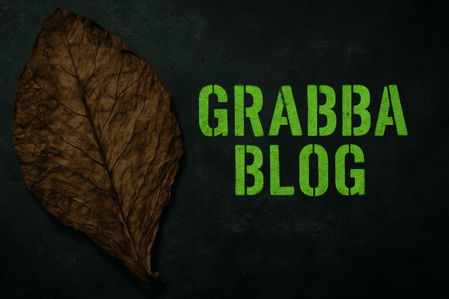 GizmoGrabbas Blog Banner